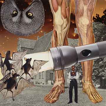 Dictective of Dreams